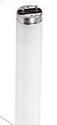 Fluorescent Tubes Excell F32T8 C/W